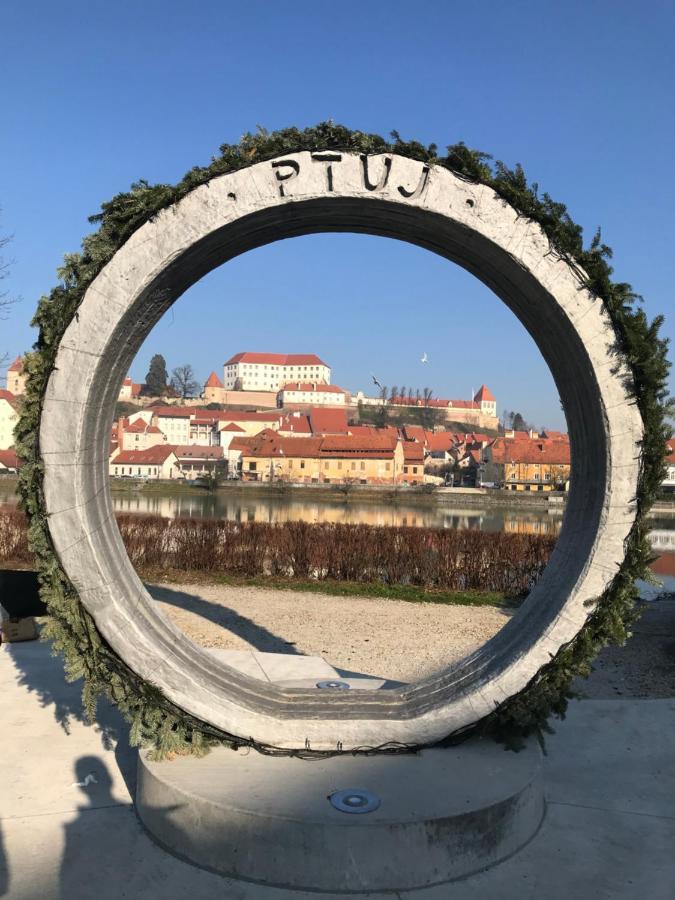 Apartments Terme Ptuj Bagian luar foto